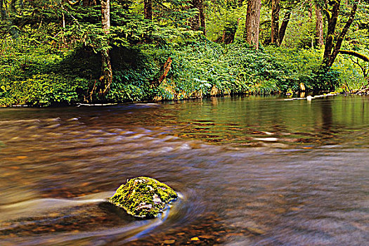 河流,湖,省立公园,不列颠哥伦比亚省,加拿大