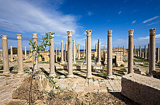 庙宇,莱普蒂斯马格纳,利比亚,北非,非洲