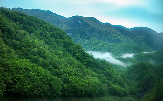 神农架,大九湖,风景,景点,旅游,高山,瀑布,河流,树木,植被,湿地,高原,湖泊,壮观