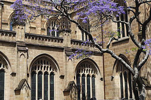 大教堂,悉尼,新南威尔士,澳大利亚