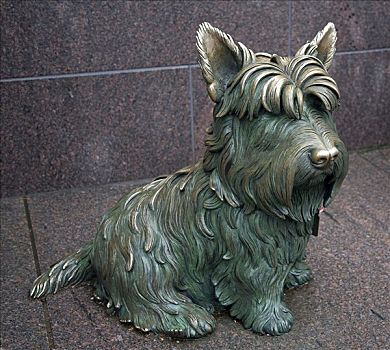 雕塑,富兰克林,狗,华盛顿特区,美国