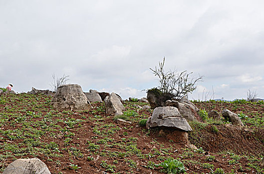 山野小石林景观