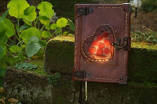 日记,红棕,皮革,封面,锁,装饰,花园