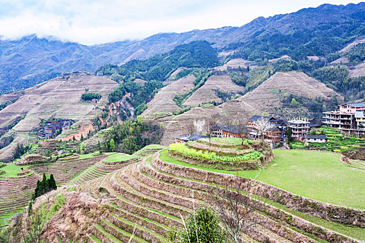 风景,阶梯状,花园,乡野