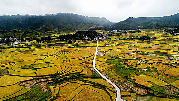 贵州龙里湾滩河镇金批村丰收田园