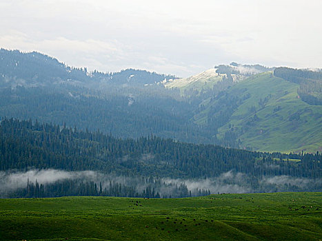 云雾天山