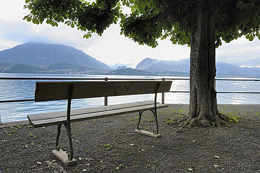 长椅,湖,瑞士
