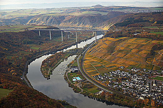 公路,桥,上方,摩泽尔,莱茵兰普法尔茨州,德国,欧洲
