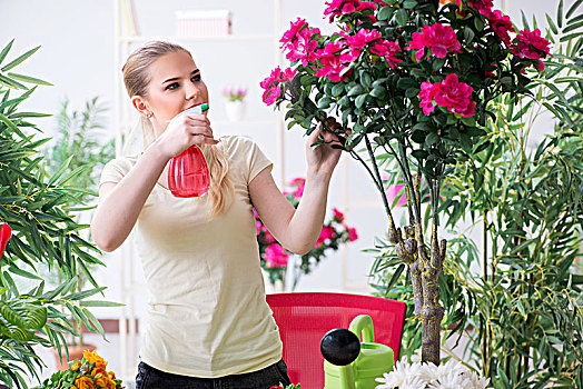 美女,浇水,植物,花园