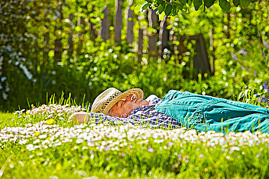 躺着,草地,花,太阳
