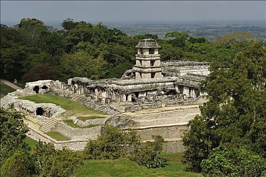 遗址,玛雅,宫殿,帕伦克,恰帕斯,墨西哥,俯视图