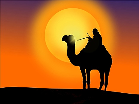 骆驼,一个,男人,日落