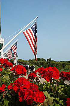 密歇根,麦基诺岛,历史,大酒店,阳台,美国国旗,红花,马车,远景