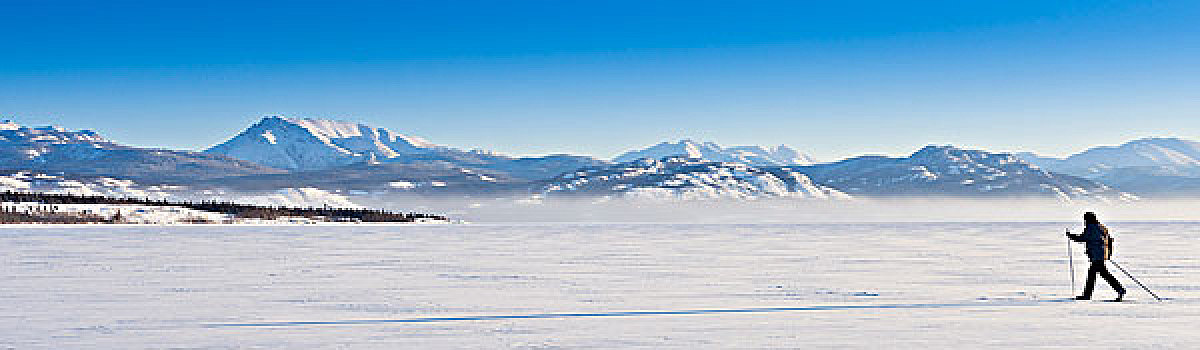 越野滑雪,长,影子,原生态,粉状雪,宽,荒野,风景