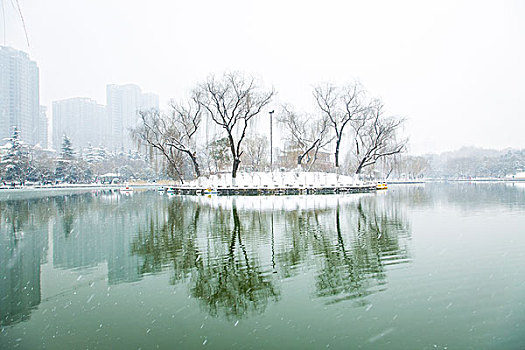 雪景