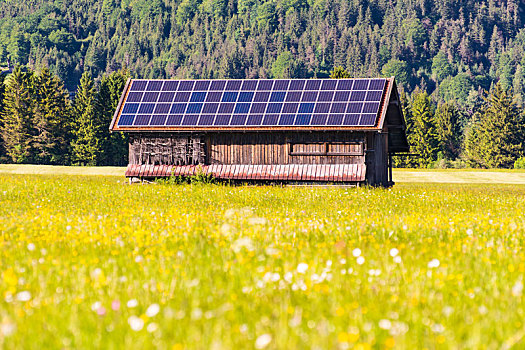 谷仓,光电,太阳能电池,屋顶