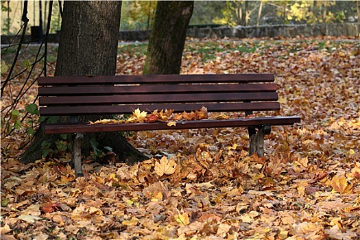 空,长椅,公园,秋天
