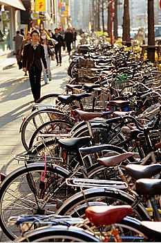 排,自行车,东京,日本