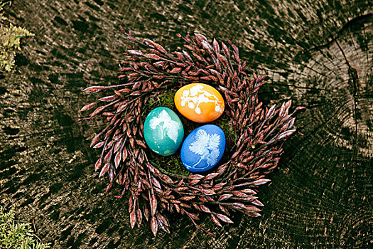 彩色,复活节草巢