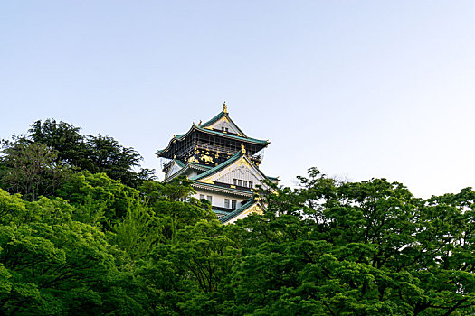 大阪城,风景