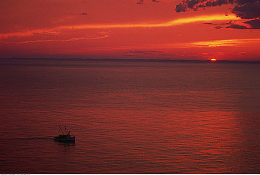 渔船,日落,大马南岛,新布兰斯维克,加拿大