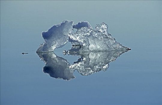 冰晶,反射,极地,海洋,斯匹次卑尔根岛,斯瓦尔巴特群岛,北极,挪威
