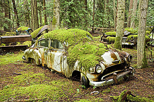 汽车,墓地,岛屿,不列颠哥伦比亚省,加拿大