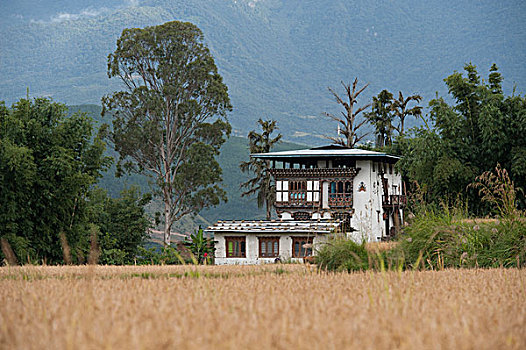 农舍,地点,普那卡,地区,不丹
