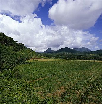 风景,安的列斯群岛,马提尼克岛