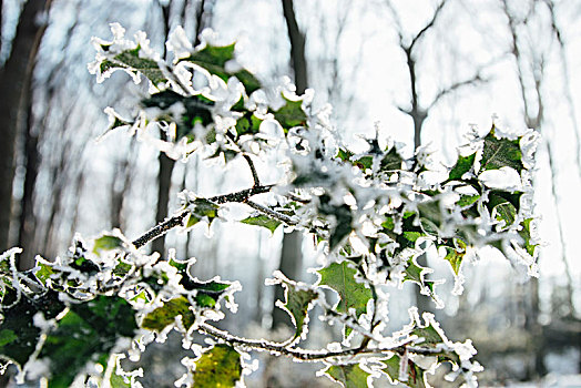 冬天,冰雪