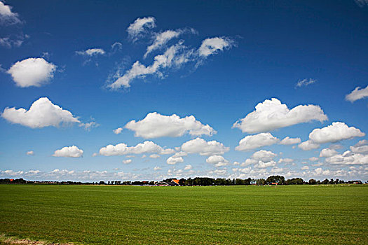 荷兰,乡村,农田,绒毛状,云,蓝色,天空,欧洲
