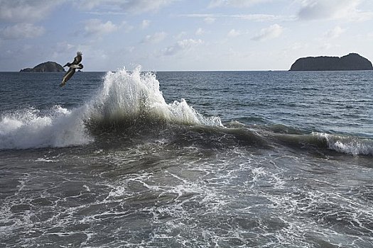 海景