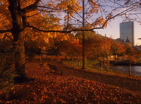查尔斯河,堤,波士顿,秋天