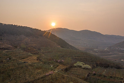 山东蒙阴乡村桃花