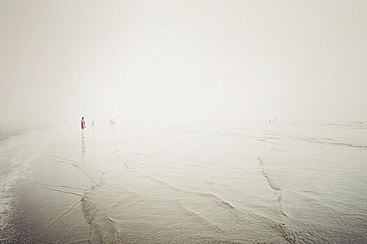 人,雾状,海滩,温哥华岛,加拿大
