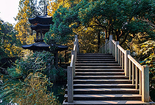 曲院风荷秋景