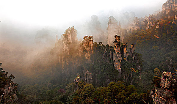 湖南,张家界,武陵源,云青岩,湖南张家界武陵源,云青岩峰群