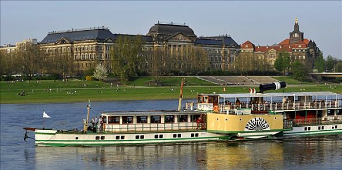 桨轮船,易北河,正面,金融,萨克森,德累斯顿,德国,欧洲