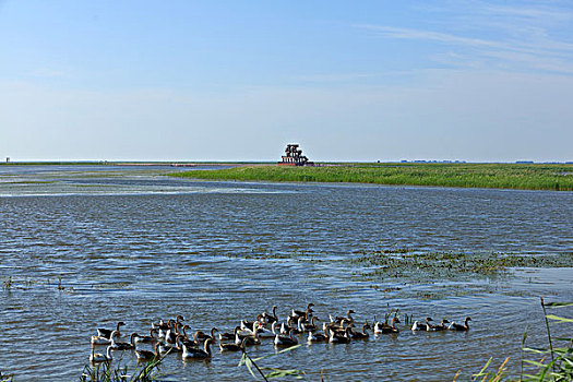 雁窝岛湿地自然保护区