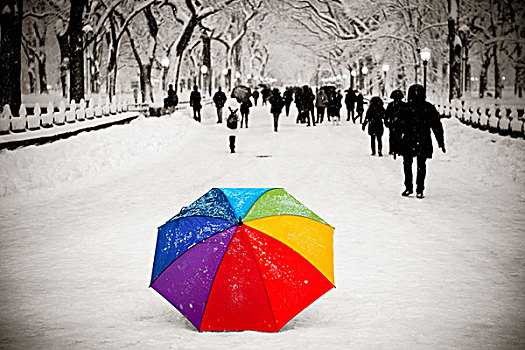 伞,旅游,中央公园,冬天,曼哈顿中城,纽约
