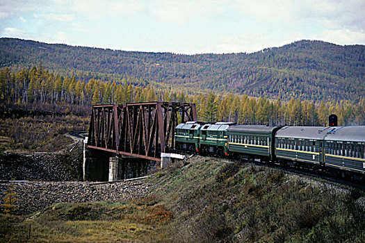 俄罗斯,西伯利亚,特别,高速列车,旅行,风景