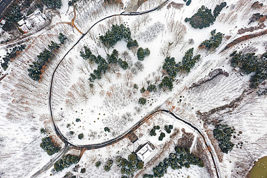 河南三门峡,国家湿地公园雪后美景如画