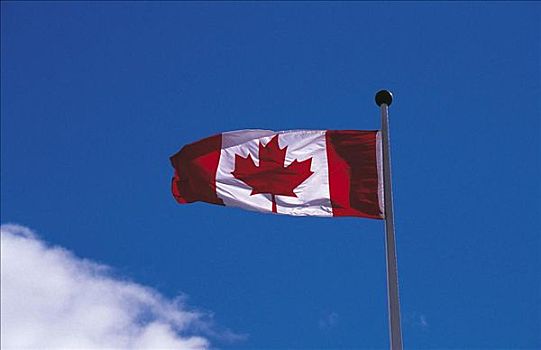 加拿大国旗,旗帜,加拿大,北美