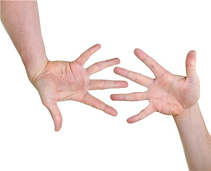 两只,手,指示,亲和性,隔绝,白色背景,背景
