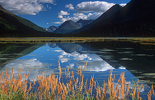高山湖,基奈,阿拉斯加,美国