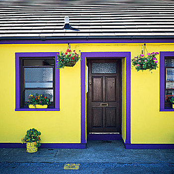 黄色,涂绘,房子,半岛,科克郡,爱尔兰