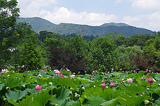 湖南,韶山,毛主席故居