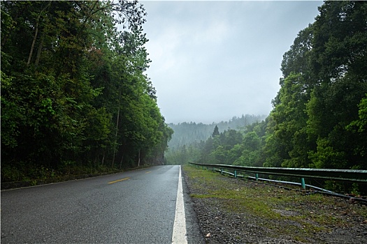 林区公路