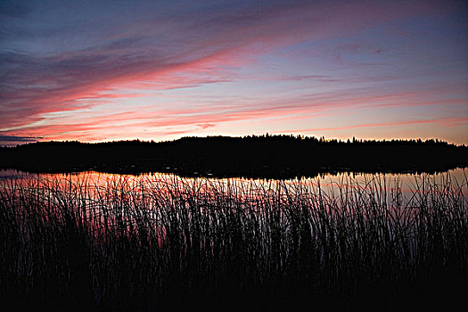 湖,树林,红色天空,黄昏
