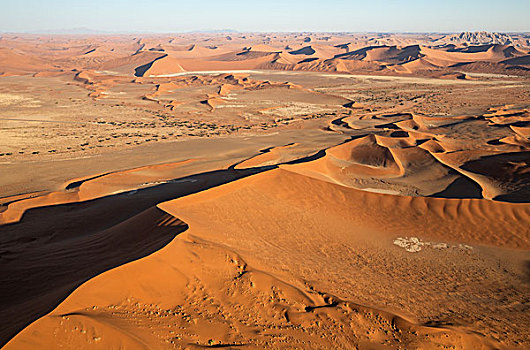 沙丘,纳米布沙漠,顶端,右边,花冈岩,山丘,中心,骆驼,刺,树,刺槐,晚上,航拍,纳米比诺克陆夫国家公园,纳米比亚,非洲